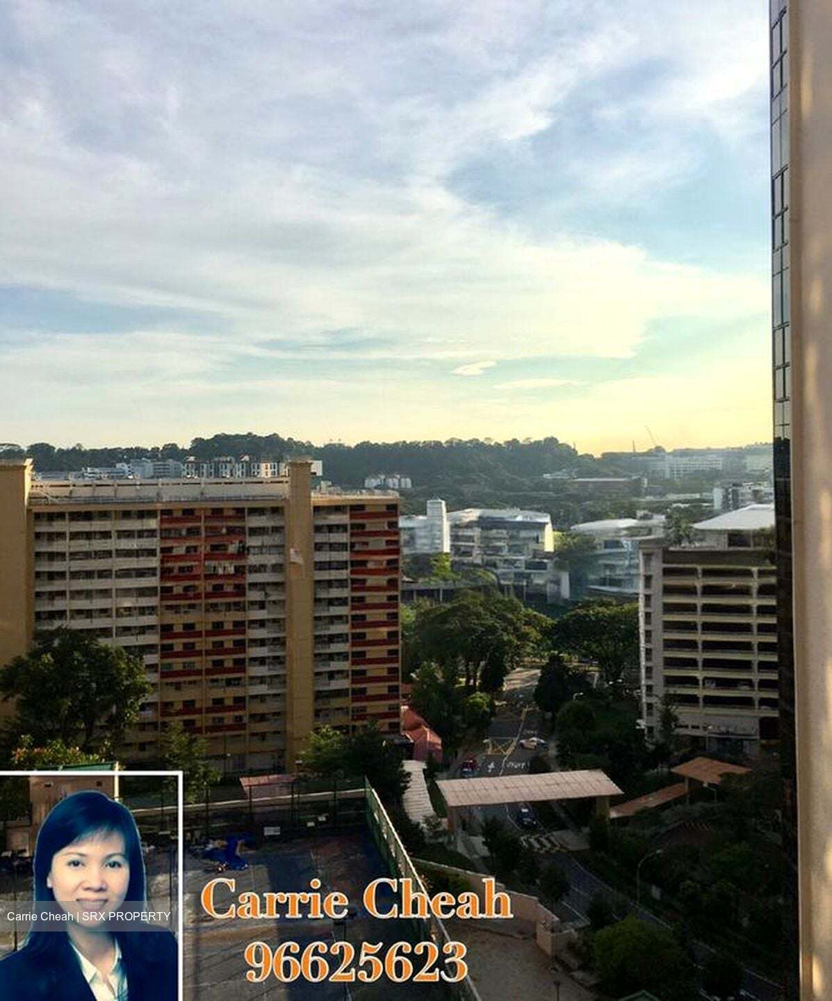 Dover Parkview (D5), Condominium #514685491